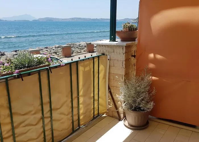 Hause Luisa Nápoles