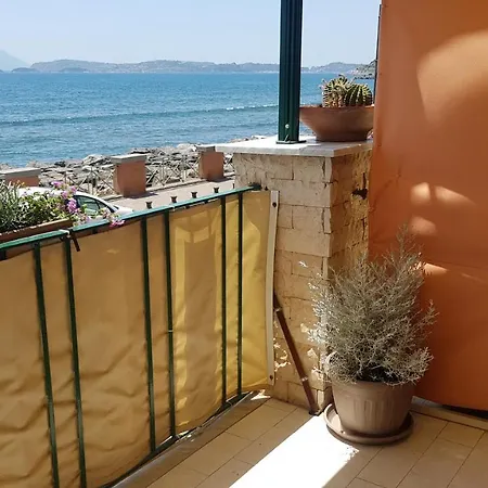 Taromy Napoli